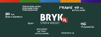 Zdjęcie użytkownika Bryk.pl.